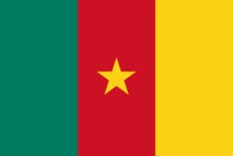 Flag of Cameroon