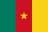 Drapeau : Cameroun