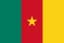 Flag of Cameroon