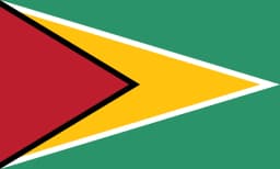 Flag of Guyana