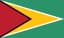 Flag of Guyana