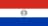 Flag of Asunción