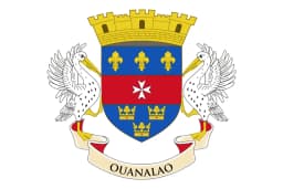Flag of Saint-Barthélemy
