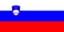 Drapeau : Slovénie
